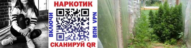 Хочу наркоту Сланцы Кокаин МЕФ Альфа ПВП Каннабис Гашиш