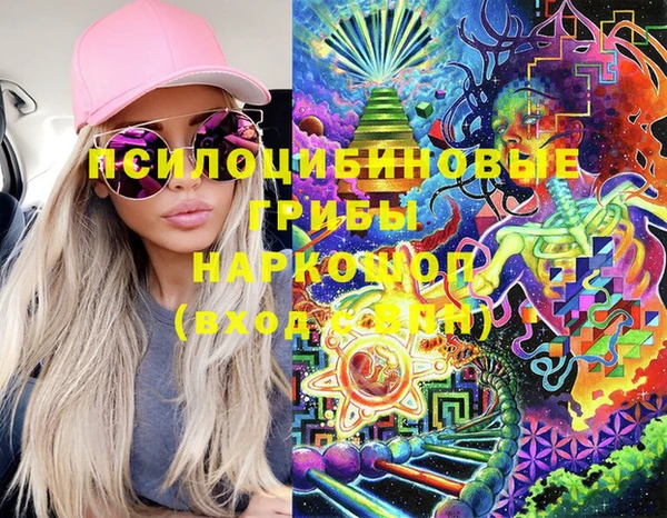 СК Белокуриха