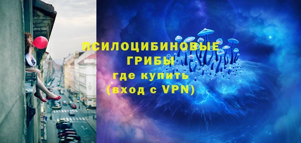 СК Белокуриха