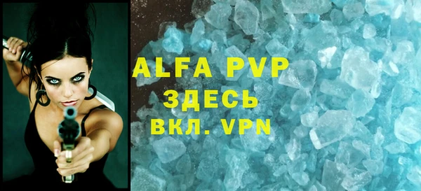 СК Белокуриха
